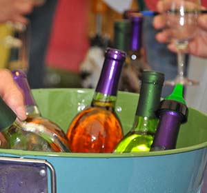 Pet Friendly B&B Activities